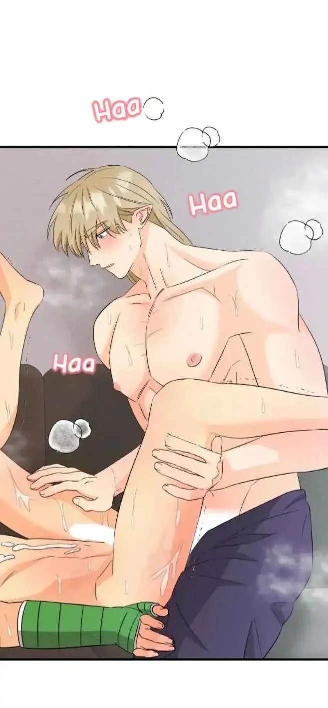 Fairy Pairing (Pareja de Hada) (2023) - Capítulo 18 - Página 32 - LectorTMOo
