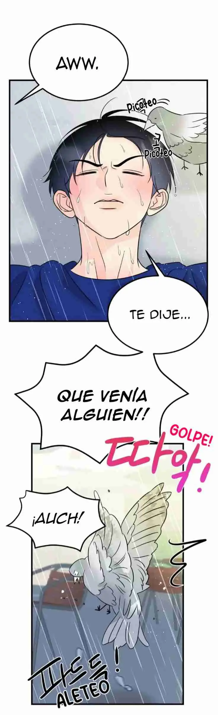 Fairy Pairing (Pareja de Hada) (2023) - Capítulo 22 - Página 21 - LectorTMOo