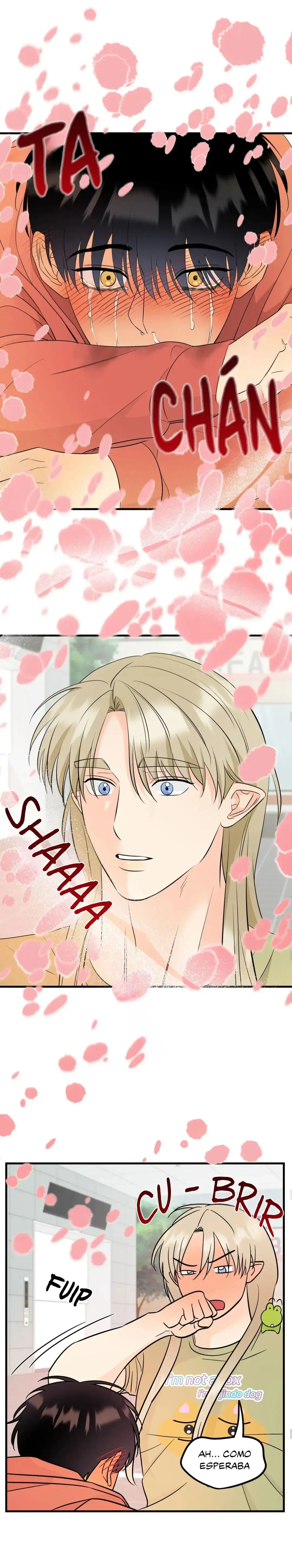 Fairy Pairing (Pareja de Hada) (2023) - Capítulo 4 - Página 9 - LectorTMOo
