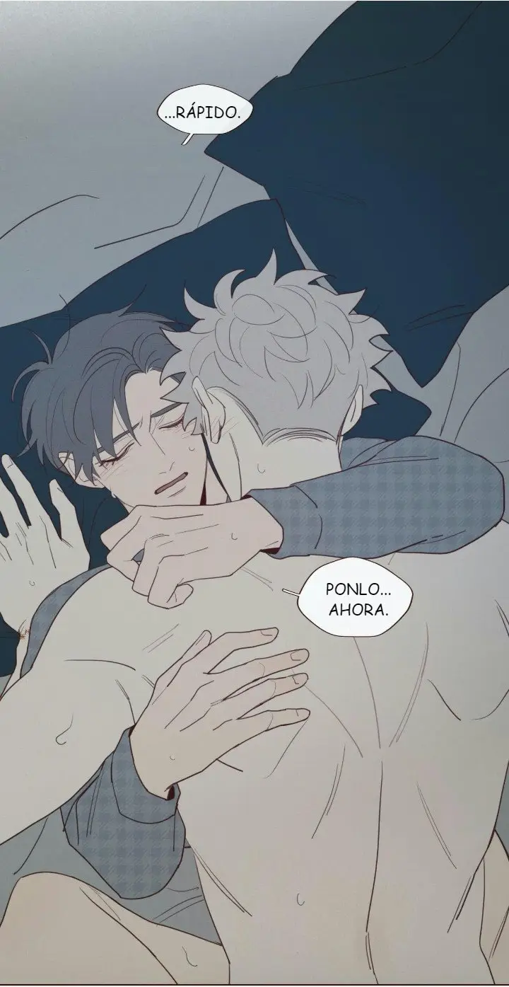 Fate Makes No Mistakes (2019) - Capítulo 41 - Página 37 - LectorTMOo