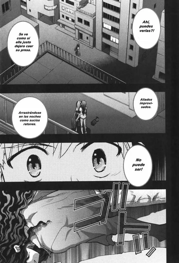 Fate Stay Night (2005) - Capítulo 21 - Página 34 - LectorTMOo