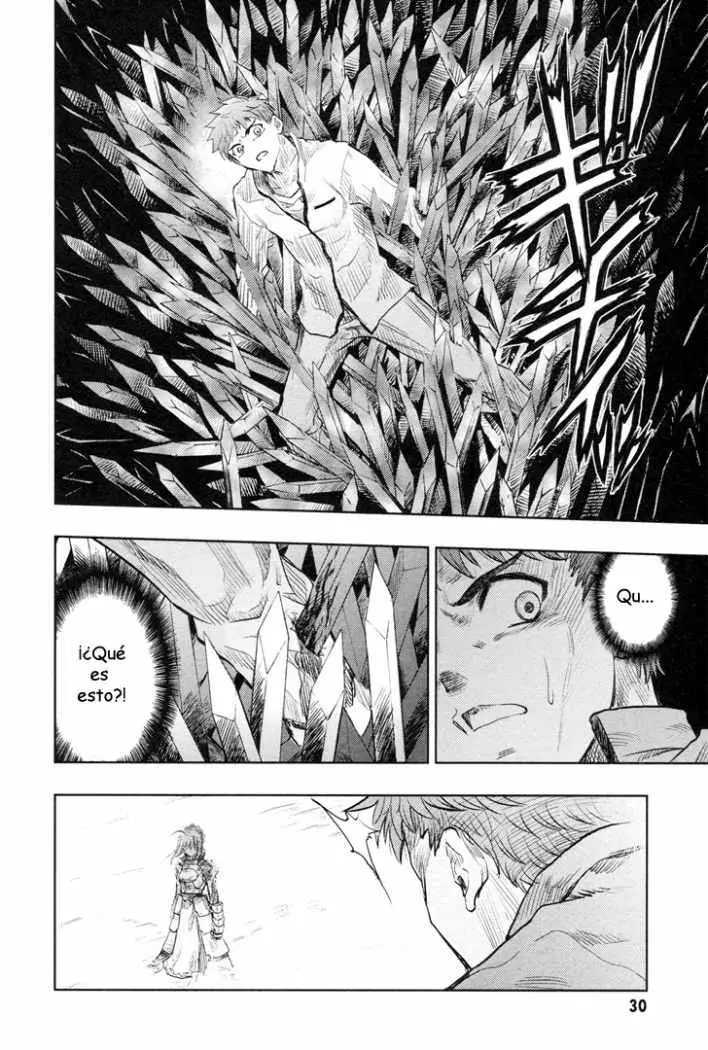 Fate Stay Night (2005) - Capítulo 39 - Página 30 - LectorTMOo