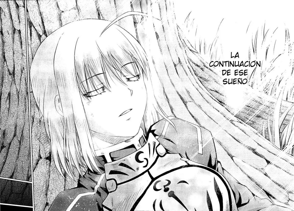Fate Stay Night (2005) - Capítulo 87 - Página 41 - LectorTMOo
