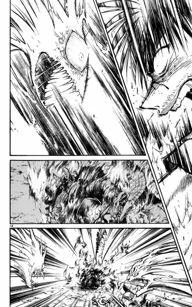 Flame of Recca (1995) - Capítulo 233 - Página 14 - LectorTMOo