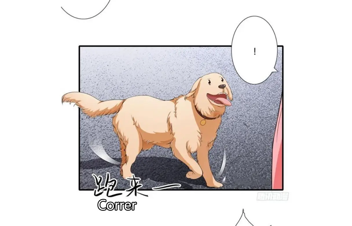 Flash Marriage Astonishing Love (2018) - Capítulo 43 - Página 8 - LectorTMOo