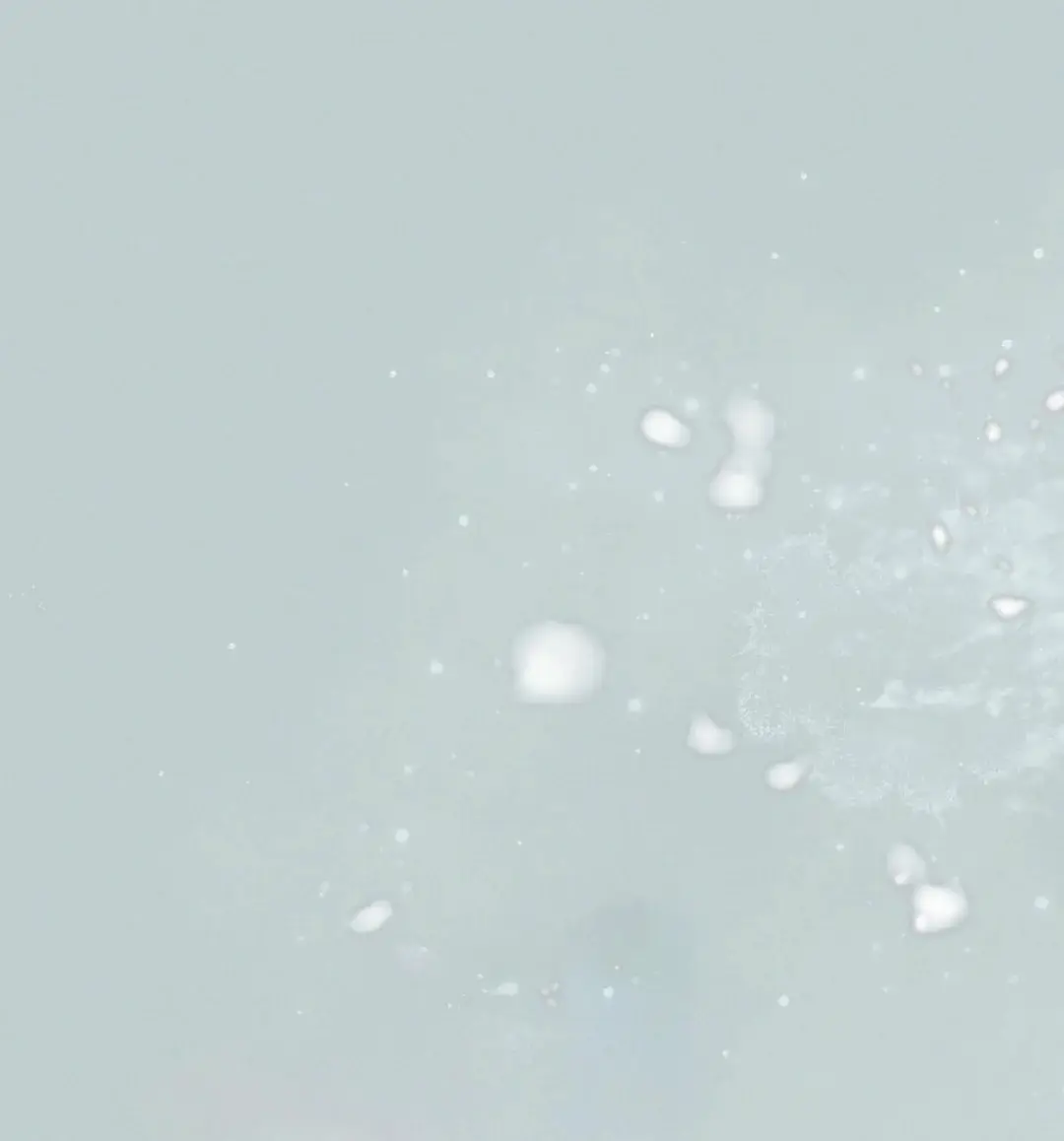 Flor de Allosa (The Flower of Aloshya) (2023) - Capítulo 1 - Página 14 - LectorTMOo