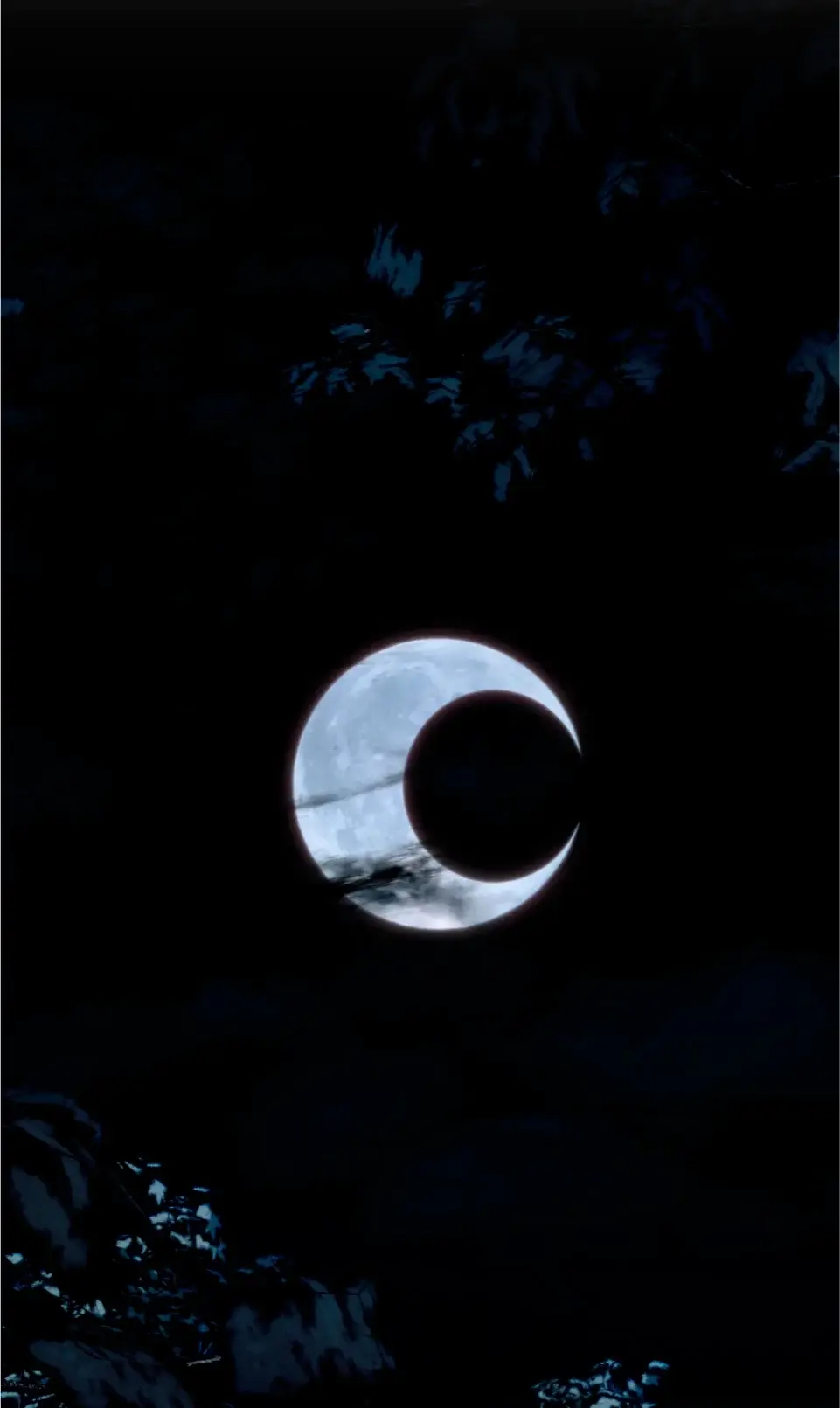 Flor de Allosa (The Flower of Aloshya) (2023) - Capítulo 8 - Página 9 - LectorTMOo