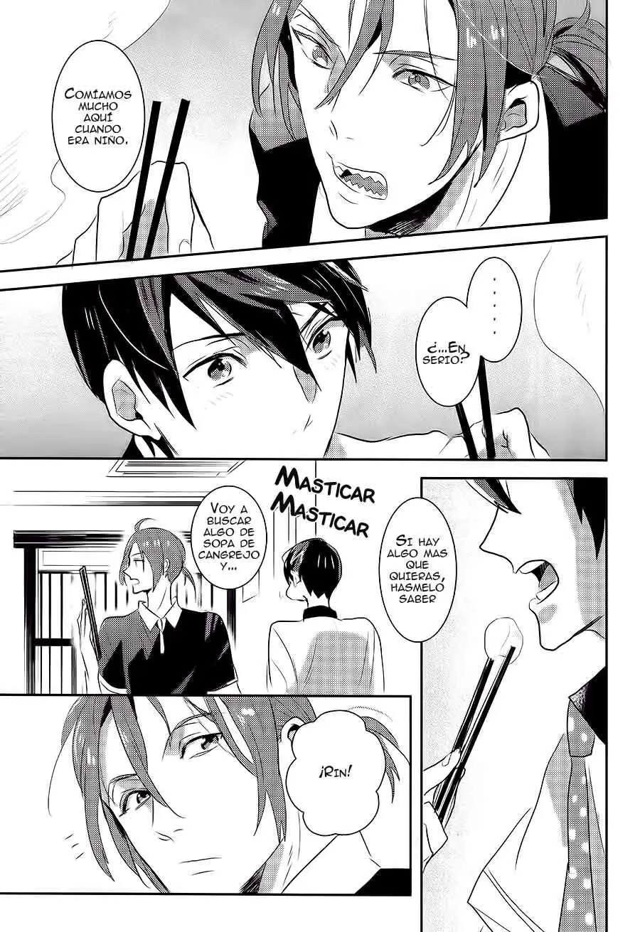 Free! - Same to Iruka no Rendezvous (2016) - Capítulo - Página 15 - LectorTMOo