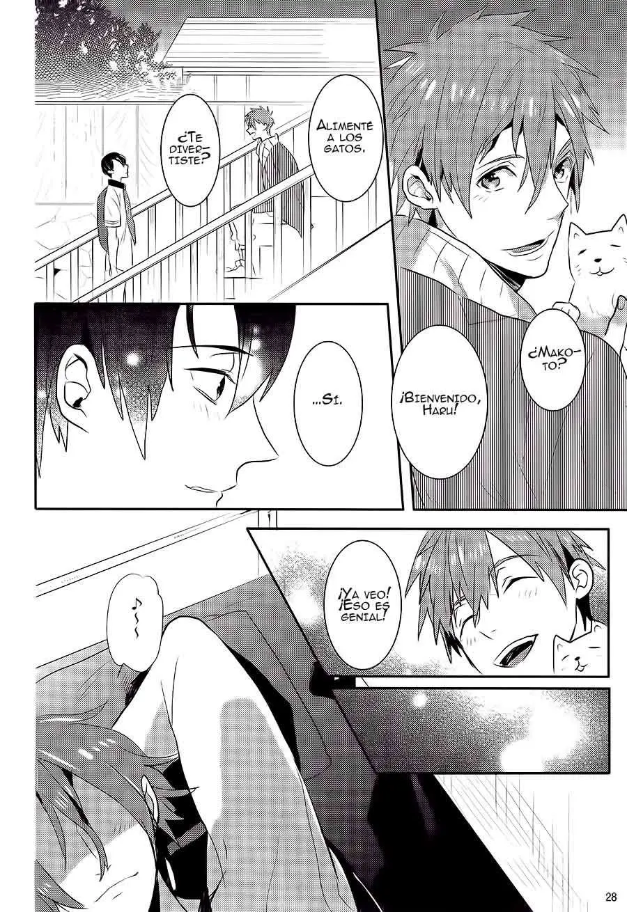 Free! - Same to Iruka no Rendezvous (2016) - Capítulo - Página 28 - LectorTMOo