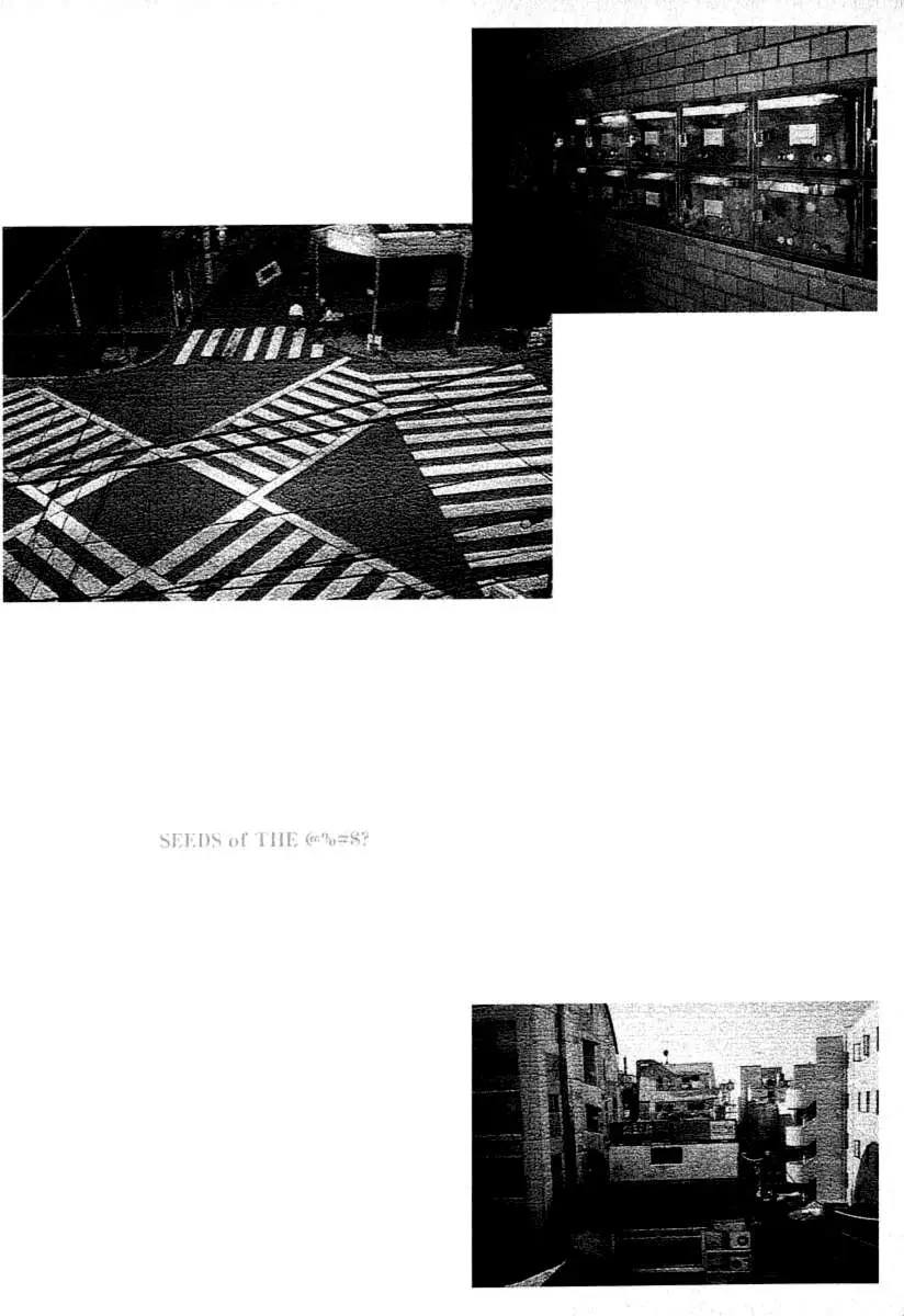 Fuan no Tane + (2007) - Capítulo 52 - Página 4 - LectorTMOo