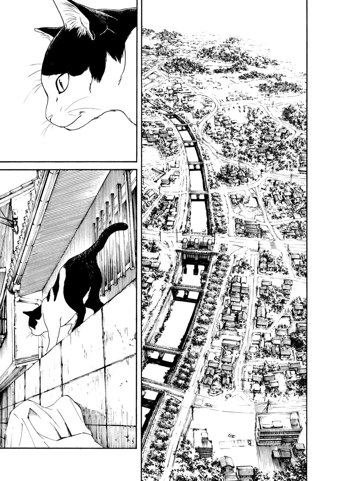 Fujiyama-san wa Shishunki (2012) - Capítulo 67 - Página 22 - LectorTMOo