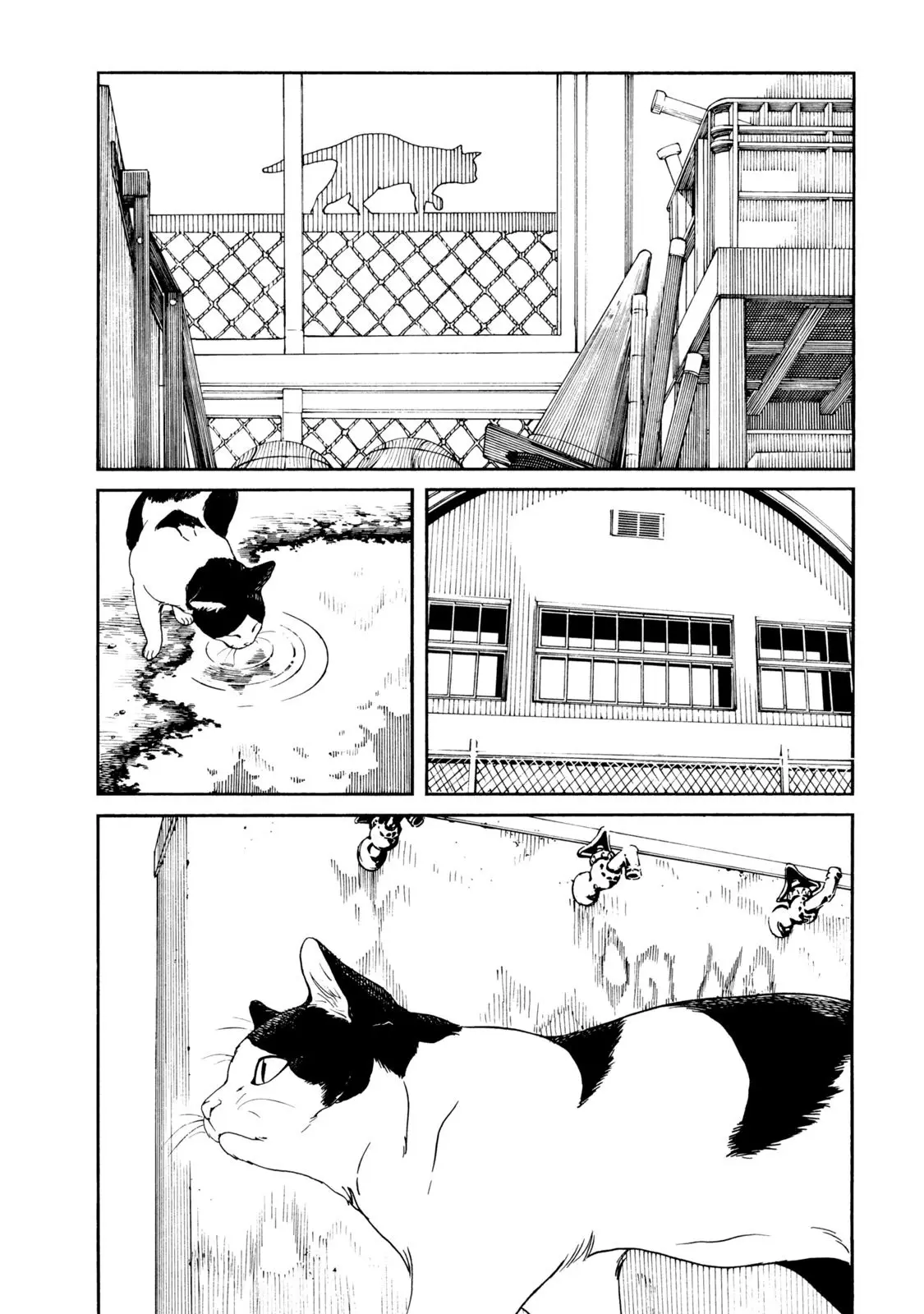 Fujiyama-san wa Shishunki (2012) - Capítulo 67 - Página 23 - LectorTMOo
