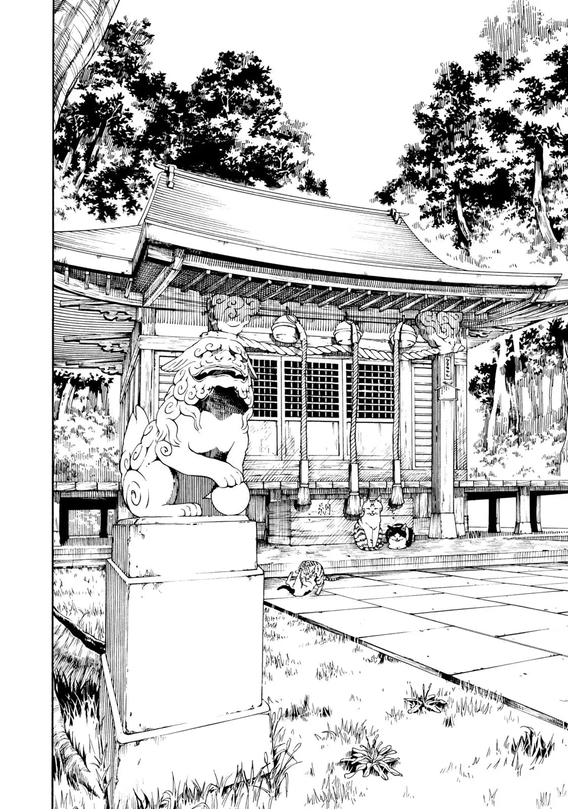 Fujiyama-san wa Shishunki (2012) - Capítulo 67 - Página 27 - LectorTMOo