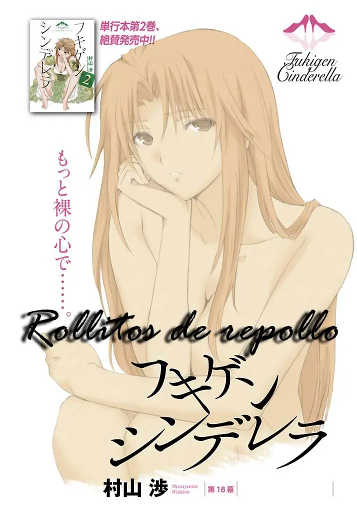 Fukigen Cinderella (2010) - Capítulo 18 - Página 2 - LectorTMOo