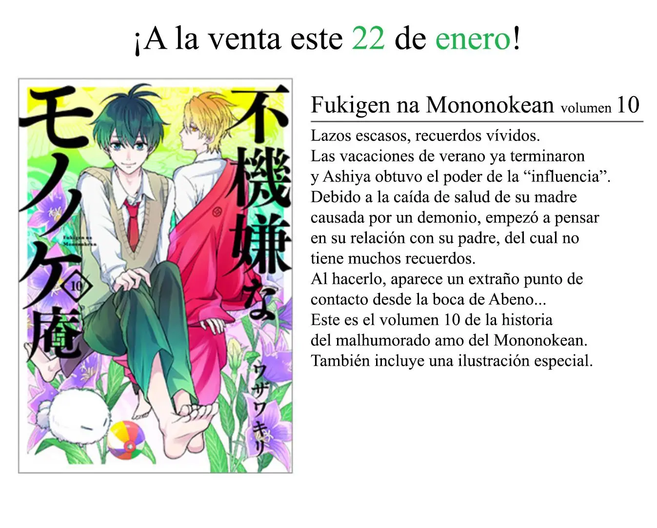 Fukigen na Mononokean (2013) - Capítulo 53 - Página 48 - LectorTMOo