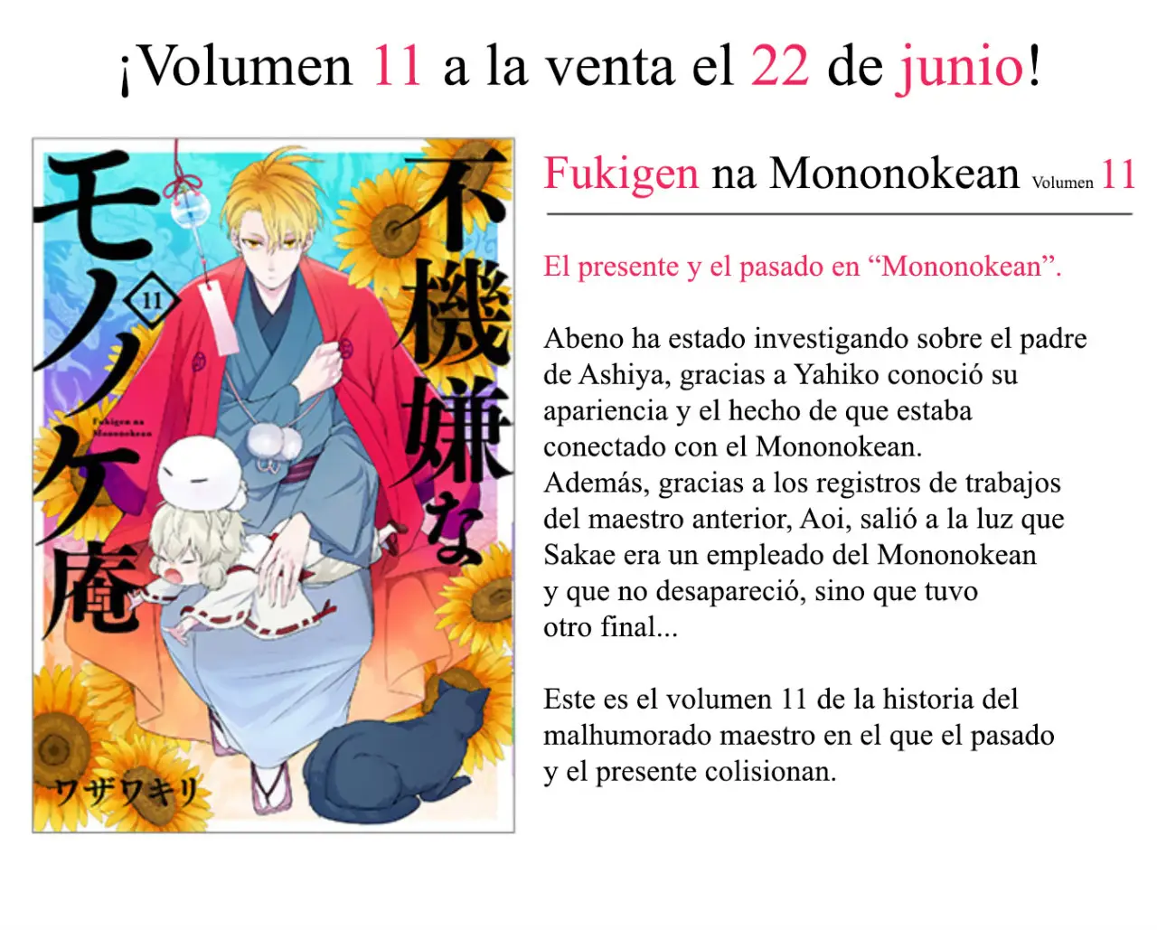 Fukigen na Mononokean (2013) - Capítulo 58 - Página 42 - LectorTMOo