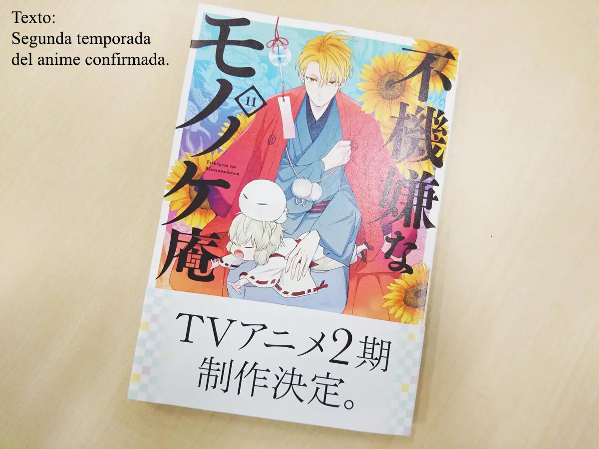 Fukigen na Mononokean (2013) - Capítulo 59 - Página 47 - LectorTMOo