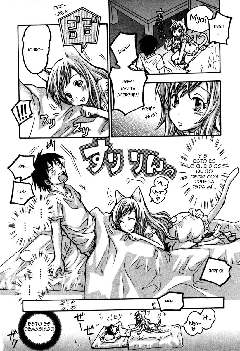 Fuku Neko (2009) - Capítulo 14 - Página 11 - LectorTMOo