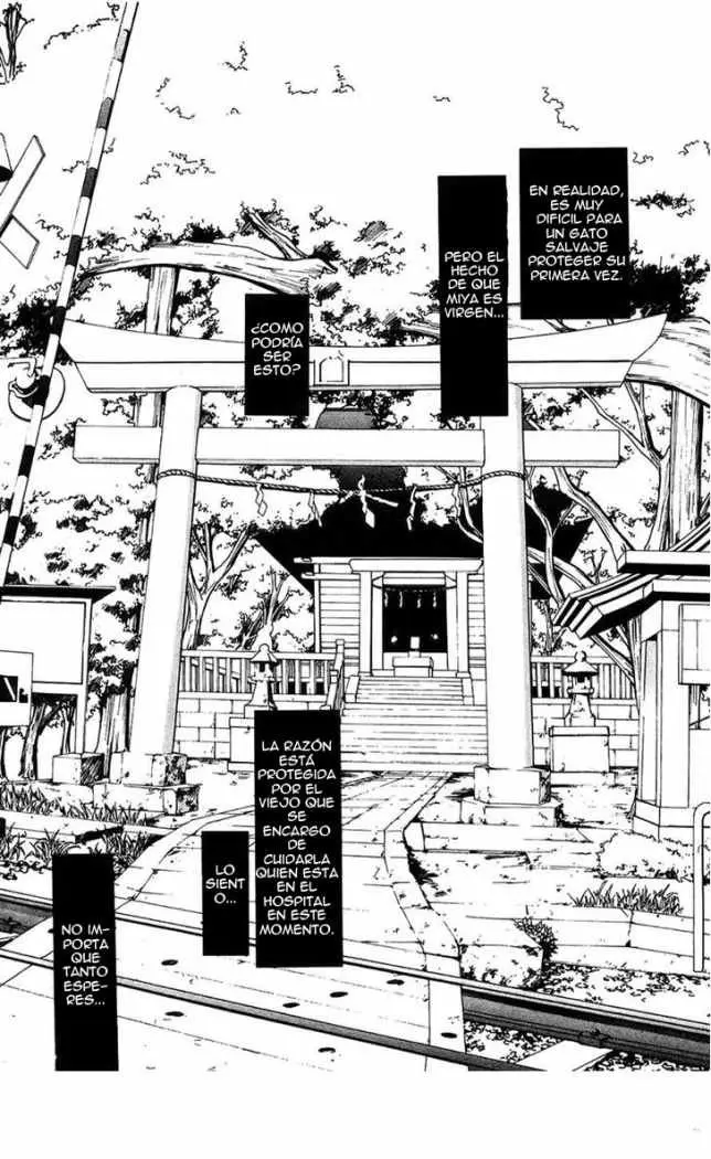 Fuku Neko (2009) - Capítulo 5 - Página 11 - LectorTMOo