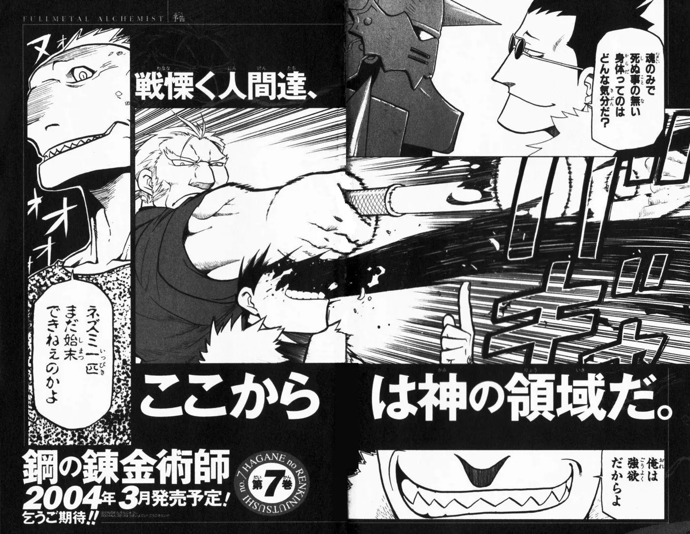 Fullmetal Alchemist (2001) - Capítulo 25 - Página 46 - LectorTMOo