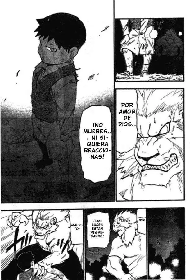 Fullmetal Alchemist (2001) - Capítulo 87 - Página 25 - LectorTMOo
