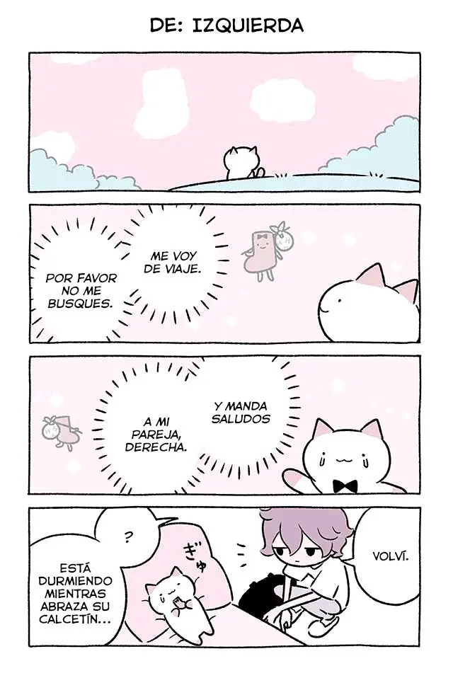 FUSHIGI NEKO NO KYUU-CHAN (2018) - Capítulo 337.5 - Página 13 - LectorTMOo