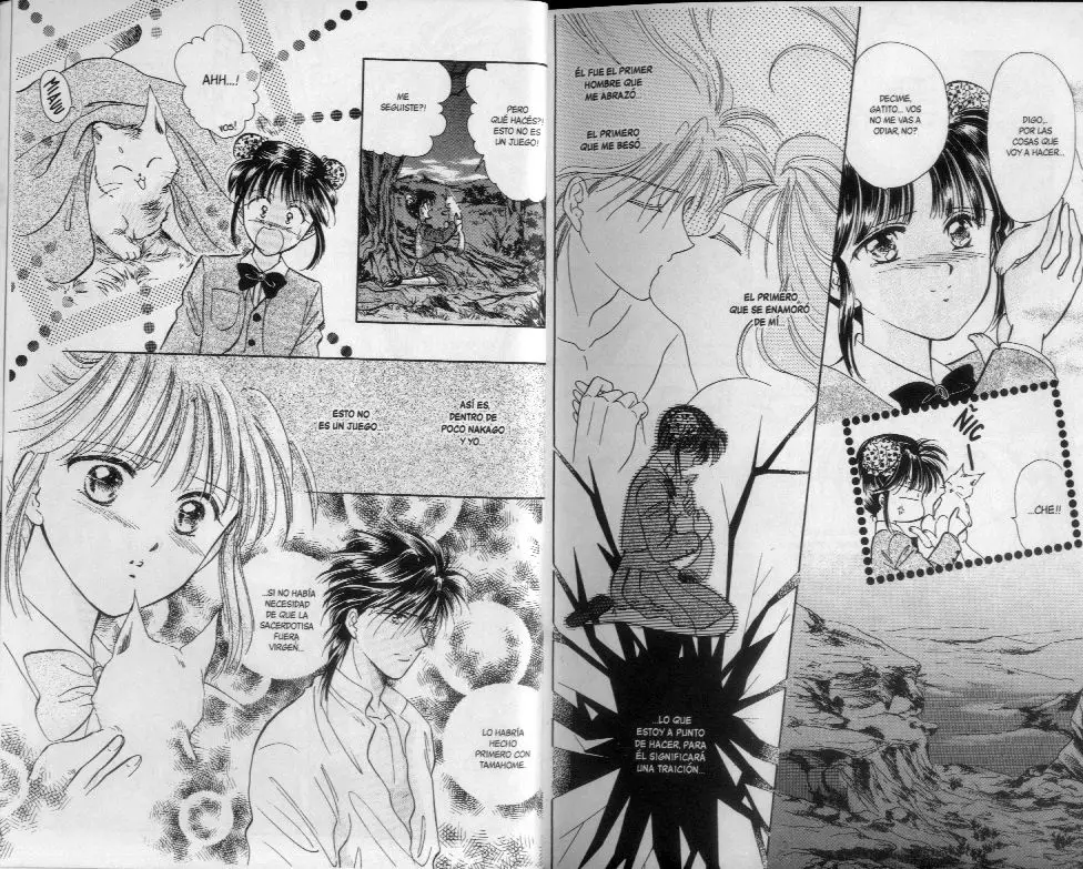 Fushigi Yuugi (1992) - Capítulo 49.54 - Página 51 - LectorTMOo
