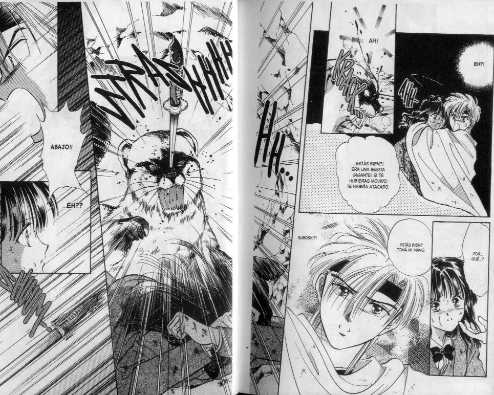 Fushigi Yuugi (1992) - Capítulo 55.56 - Página 5 - LectorTMOo