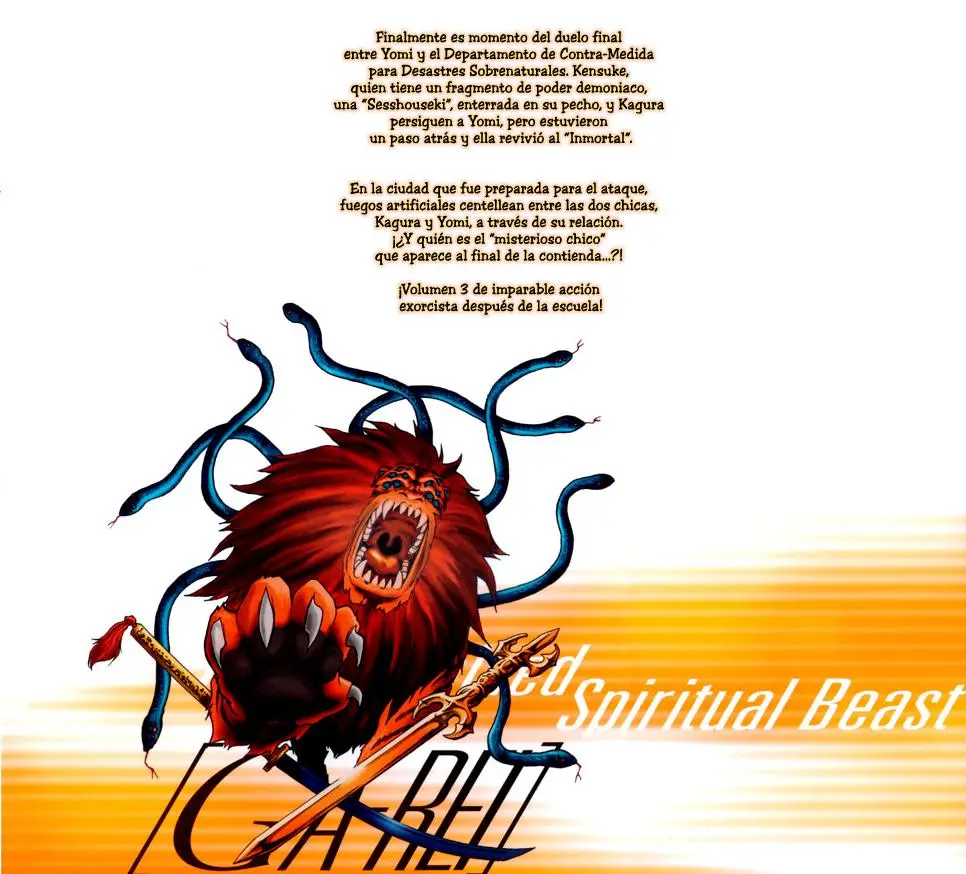 Ga-Rei (2005) - Capítulo 9 - Página 45 - LectorTMOo