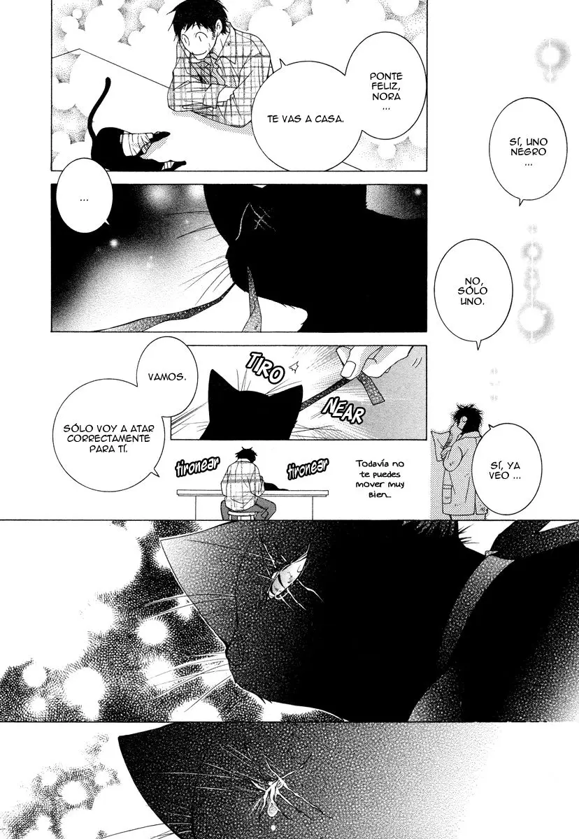 Gakkou no Sensei (2003) - Capítulo 10.5 - Página 7 - LectorTMOo