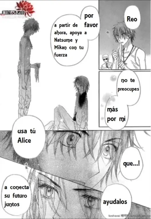 Gakuen Alice (2002) - Capítulo 158 - Página 14 - LectorTMOo