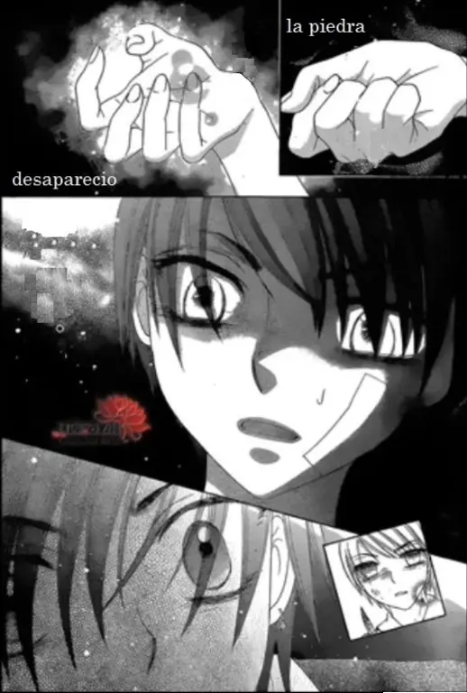 Gakuen Alice (2002) - Capítulo 161 - Página 8 - LectorTMOo