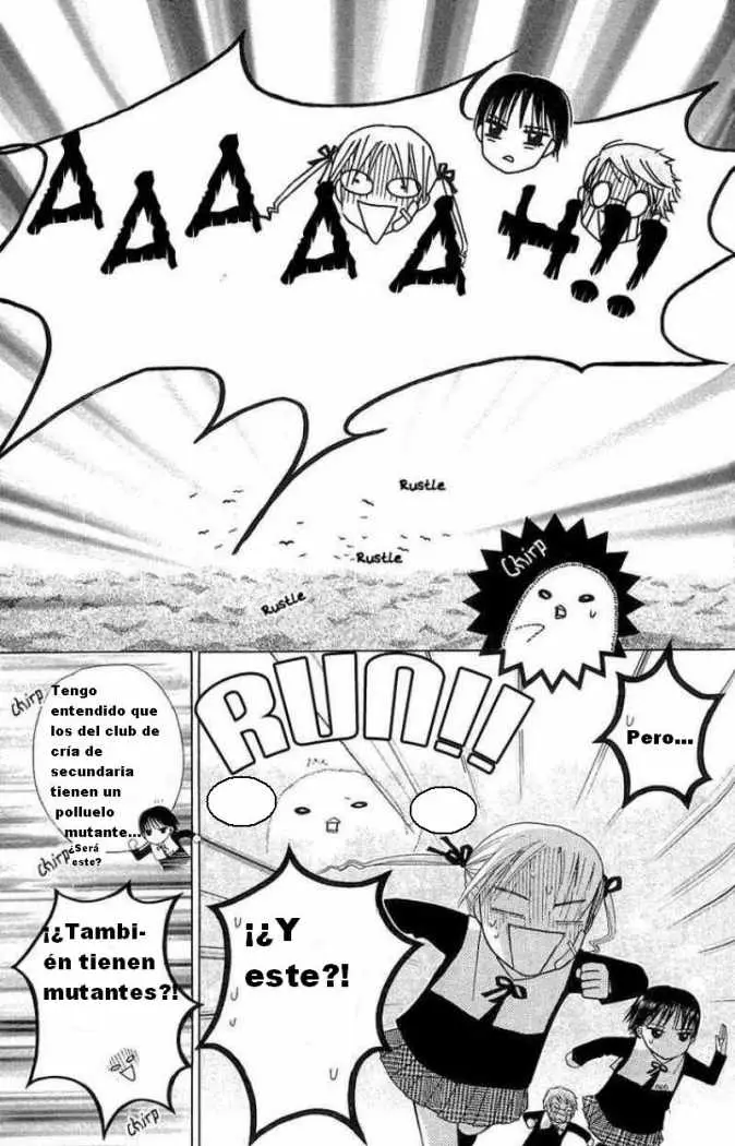 Gakuen Alice (2002) - Capítulo 4 - Página 23 - LectorTMOo