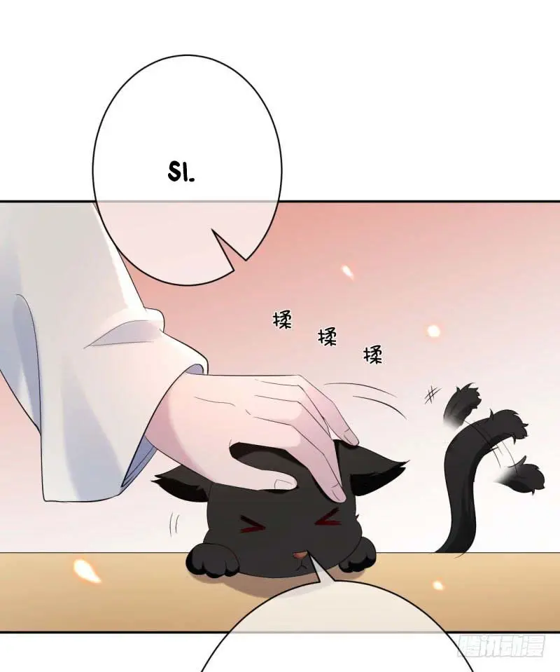 Genius Doctor: Black Belly Miss - Capítulo 6 - Página 17 - LectorTMOo
