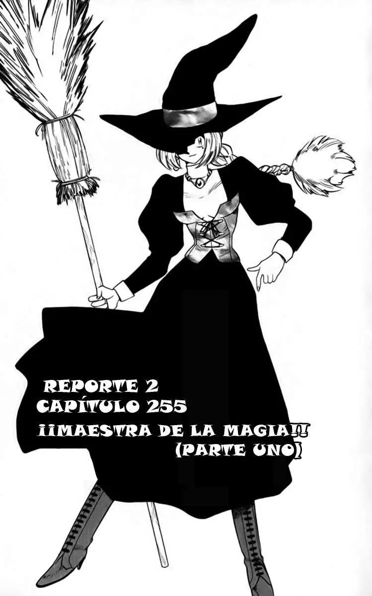 Ghost Sweeper Mikami Gokuraku Taisakusen!! (1991) - Capítulo 255 - Página 2 - LectorTMOo