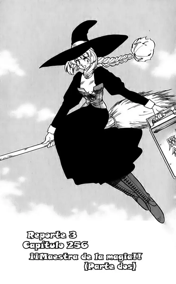 Ghost Sweeper Mikami Gokuraku Taisakusen!! (1991) - Capítulo 256 - Página 1 - LectorTMOo