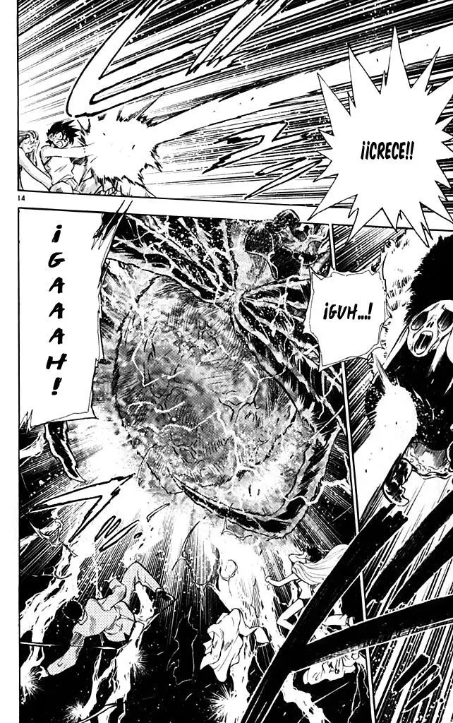 Ghost Sweeper Mikami Gokuraku Taisakusen!! (1991) - Capítulo 277 - Página 14 - LectorTMOo
