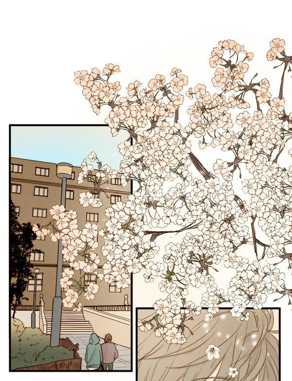 Green Apple Paradise - Capítulo 13 - Página 43 - LectorTMOo