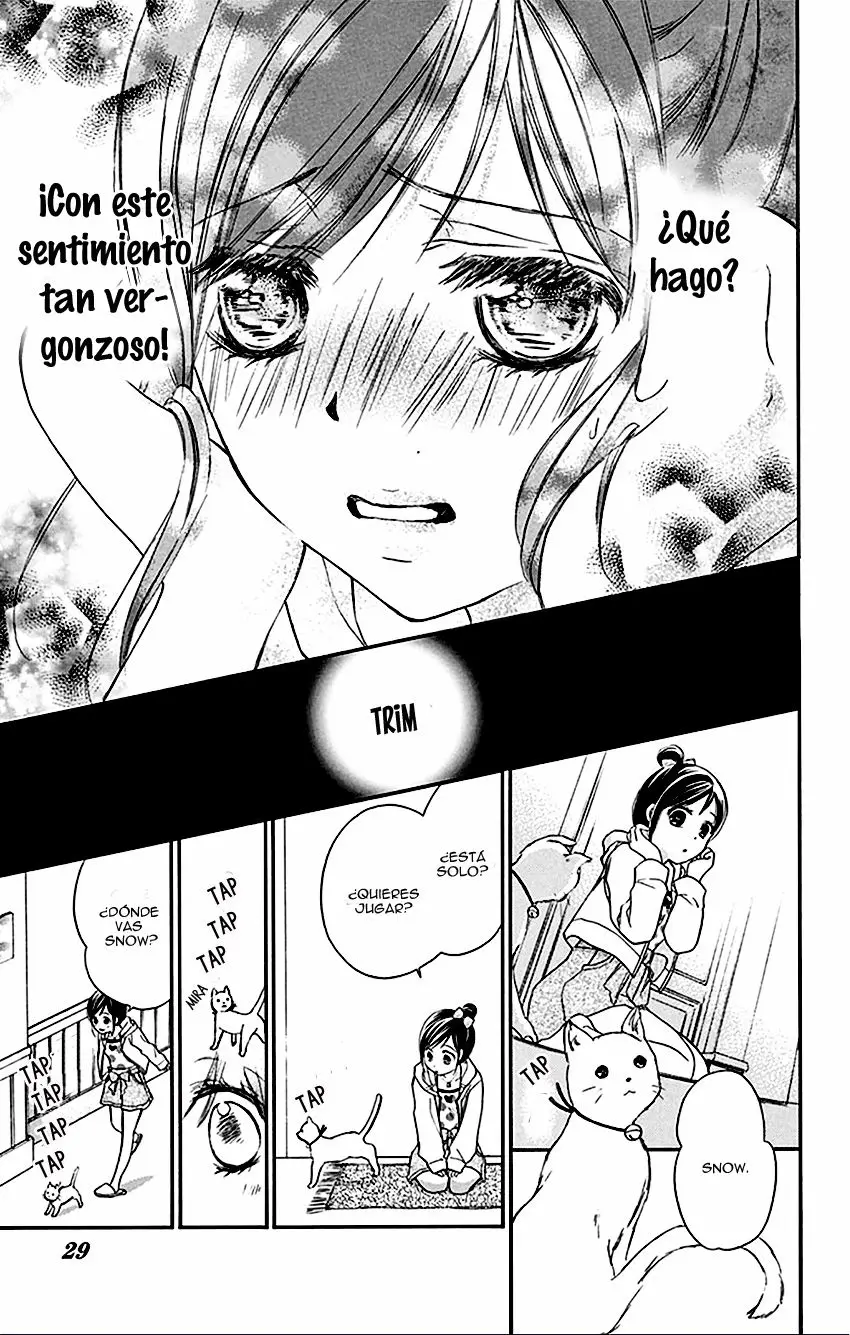 Hachimitsu ni Hatsukoi (2012) - Capítulo 23 - Página 31 - LectorTMOo