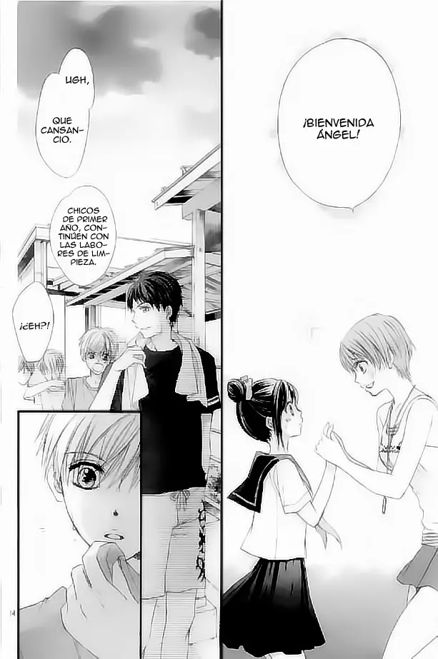 Hachimitsu ni Hatsukoi (2012) - Capítulo 30 - Página 16 - LectorTMOo