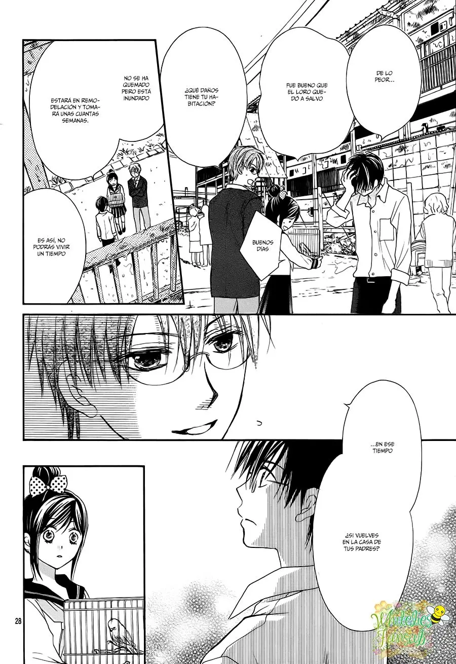 Hachimitsu ni Hatsukoi (2012) - Capítulo 49 - Página 31 - LectorTMOo