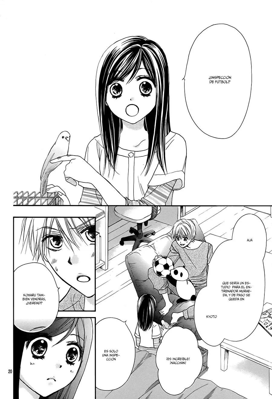 Hachimitsu ni Hatsukoi (2012) - Capítulo 51 - Página 23 - LectorTMOo