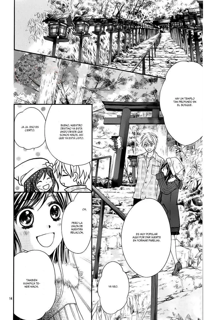 Hachimitsu ni Hatsukoi (2012) - Capítulo 65 - Página 17 - LectorTMOo