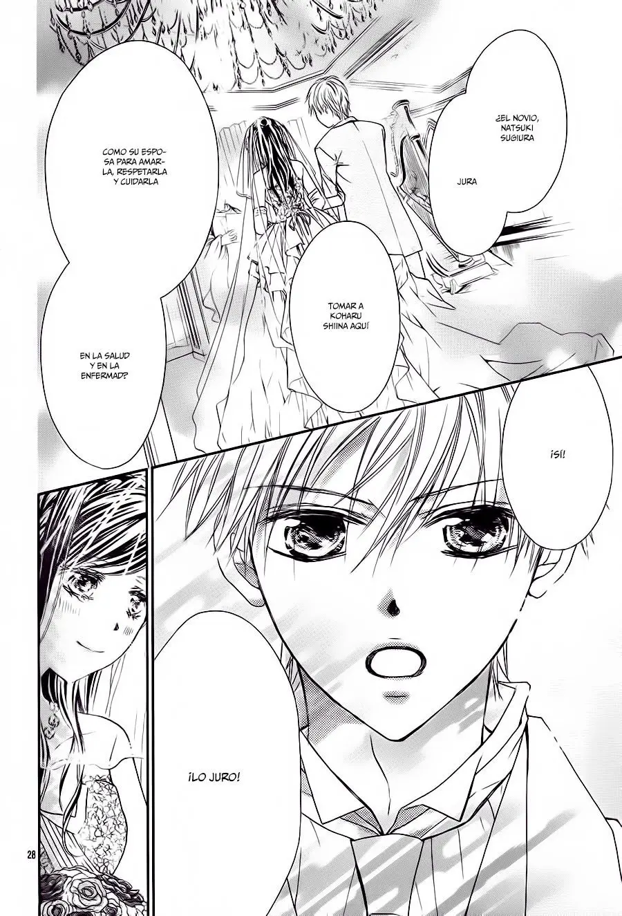 Hachimitsu ni Hatsukoi (2012) - Capítulo 67 - Página 32 - LectorTMOo