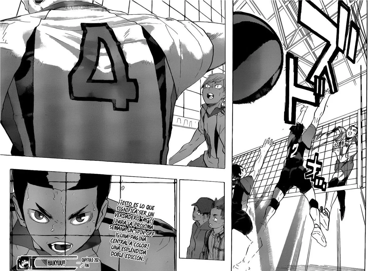 Haikyu!! (2012) - Capítulo 202 - Página 19 - LectorTMOo