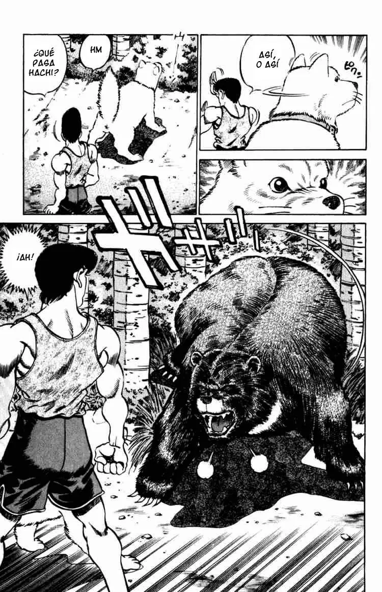 Hajime no Ippo (1989) - Capítulo 229 - Página 17 - LectorTMOo