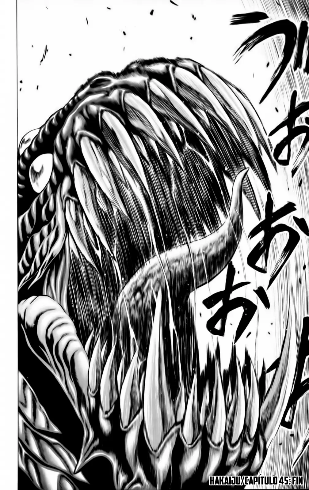 Hakaijuu (2010) - Capítulo 45 - Página 43 - LectorTMOo