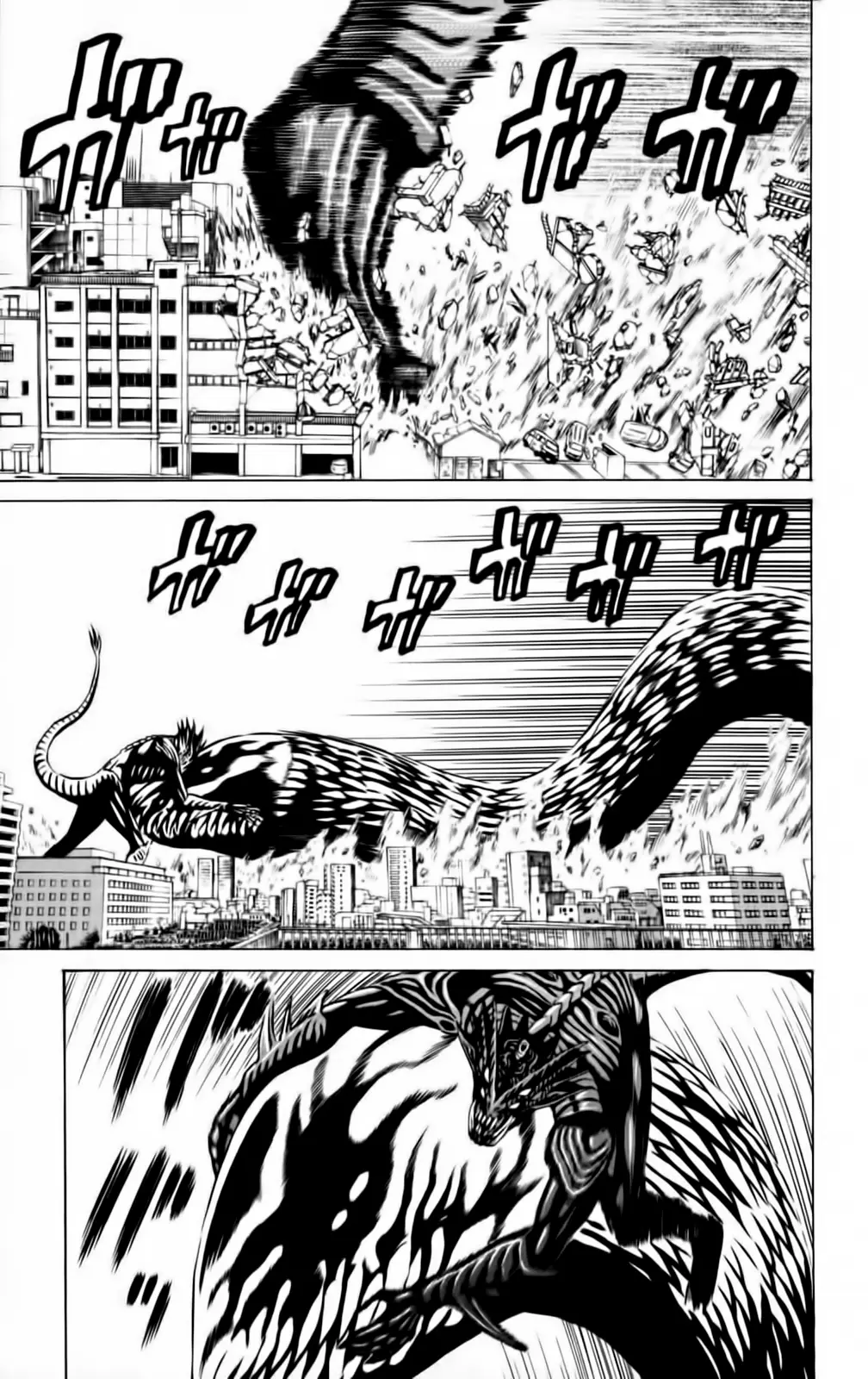 Hakaijuu (2010) - Capítulo 47 - Página 12 - LectorTMOo