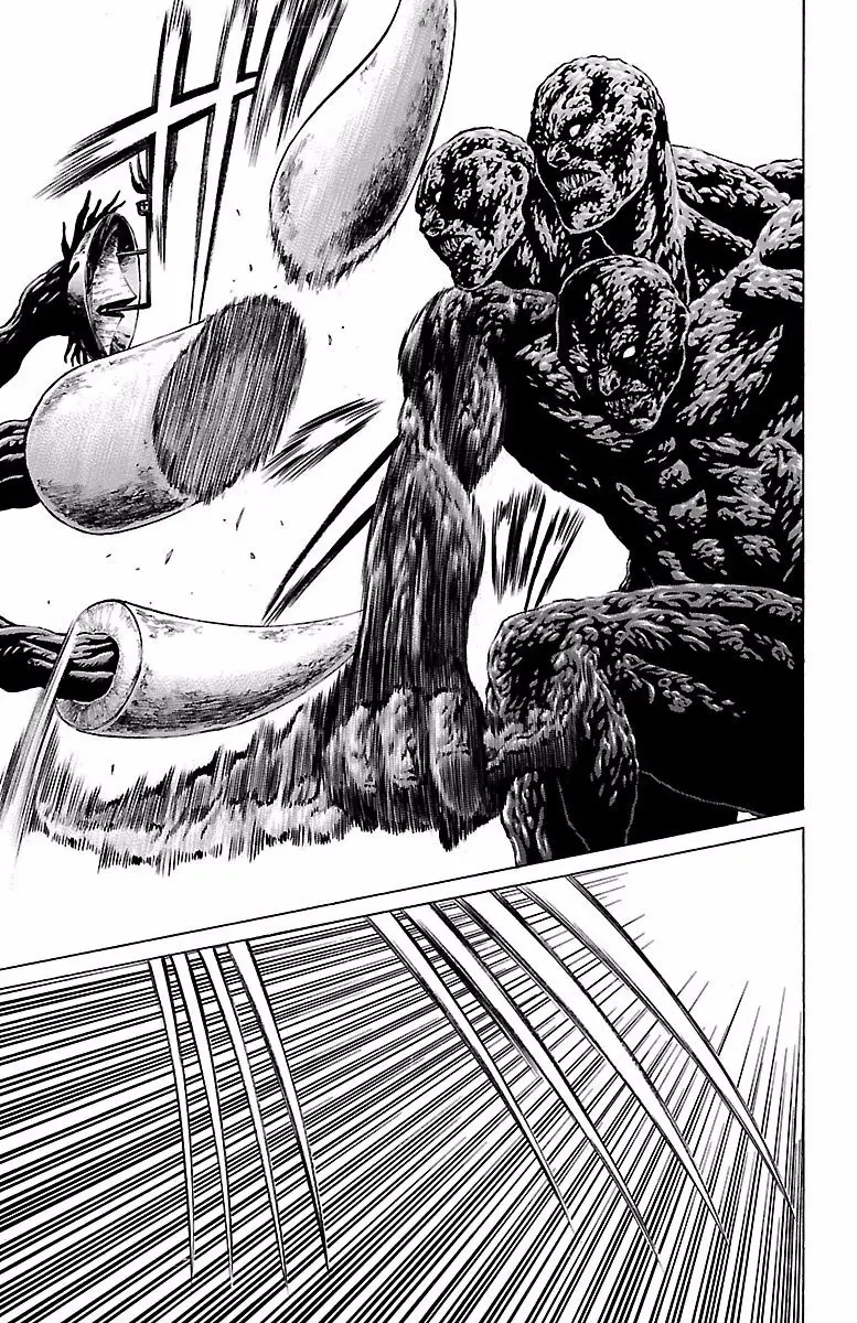 Hakaijuu (2010) - Capítulo 71 - Página 29 - LectorTMOo