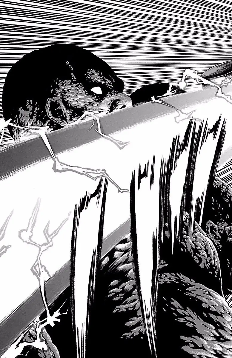Hakaijuu (2010) - Capítulo 72 - Página 17 - LectorTMOo